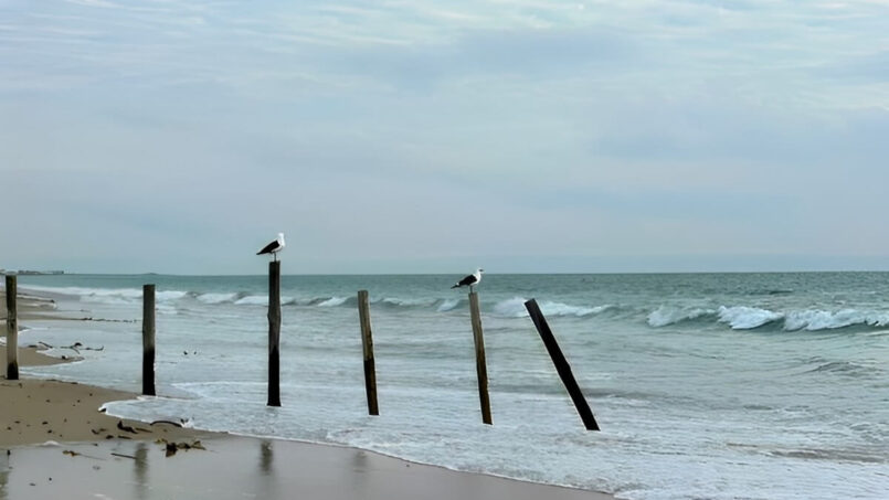 Dwarskersbos Accommodation - Beach with seagulls
